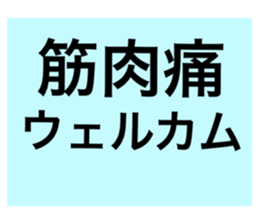 35116339