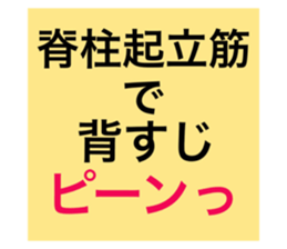 35116349