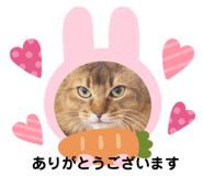 351188356