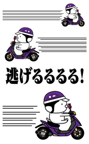 351252244