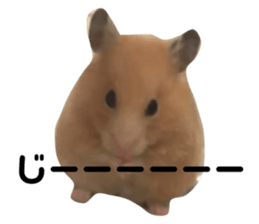 351260527