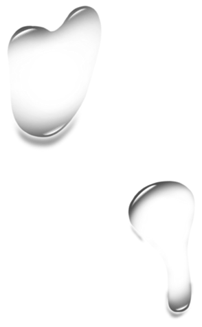 351355116