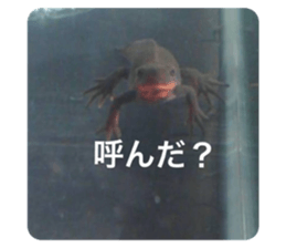 351416650