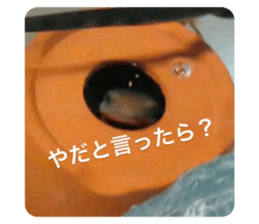 351416657