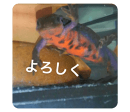 351416742