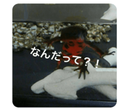 351416744
