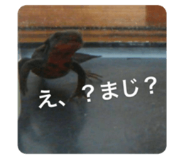 351416748