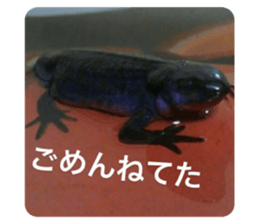 351416757