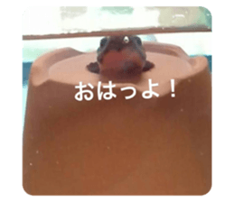 351416759