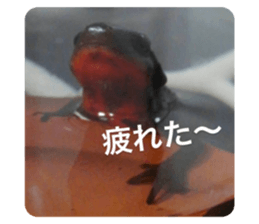 351416763