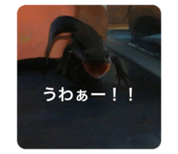 351416765