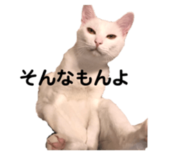 351425833