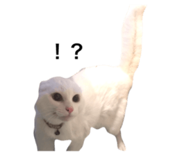351425838