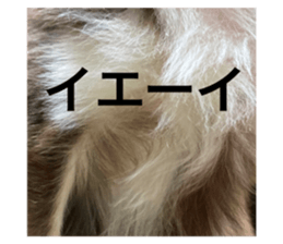 351431961