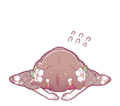 35156113