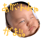 351660129