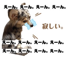 351869797