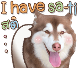 351906925