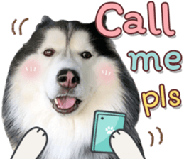 351906928