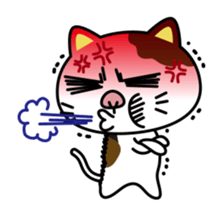 351925065