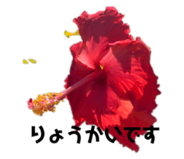 352013857