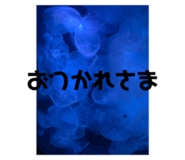 352017260