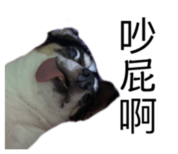 352038594