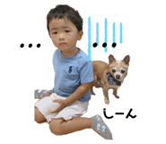 352091804