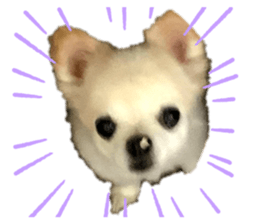 352122759