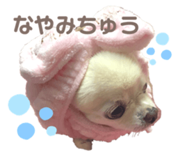 352122769