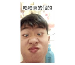 352148077