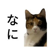352157643