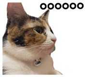 352157651