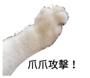 352157668