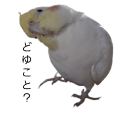 352164754