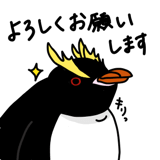 352168553