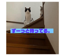 352228216