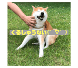352228217