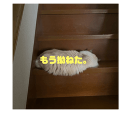 352228218