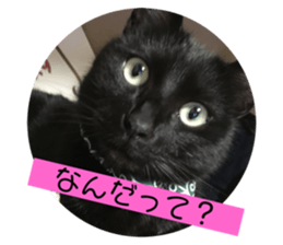 352239424