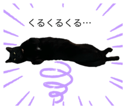 352245018