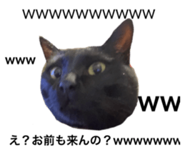 352245020