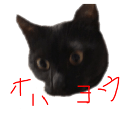 352245029