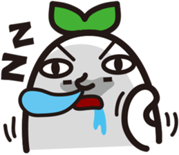 3523244