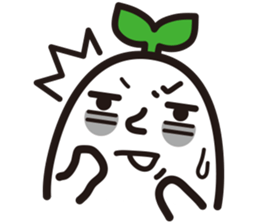 3523248