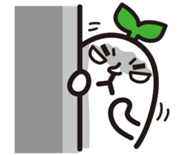 3523252