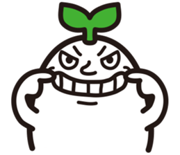 3523254
