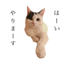 352330404