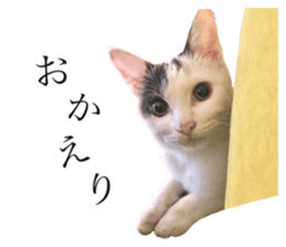 352330406