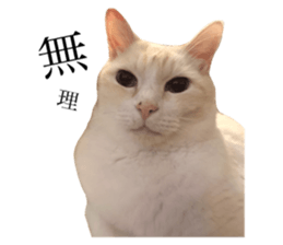 352330413